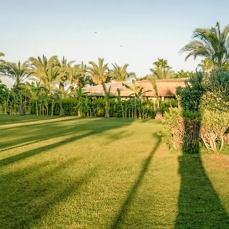 Royal Wings Hotel Antalya